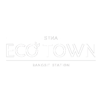 เสนา อีโค ทาวน์ รังสิต สเตชั่น logo